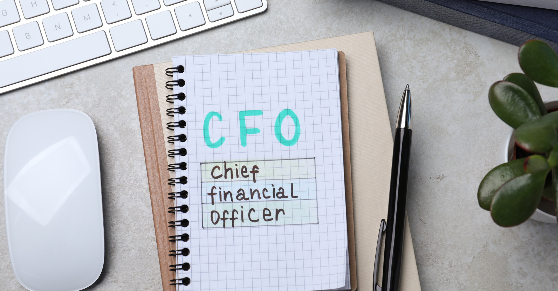 What Are Fractional CFO Services explained by a financial advisor reviewing financial reports with a business owner.